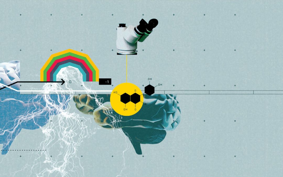 How Our Brains Decide When to Trust